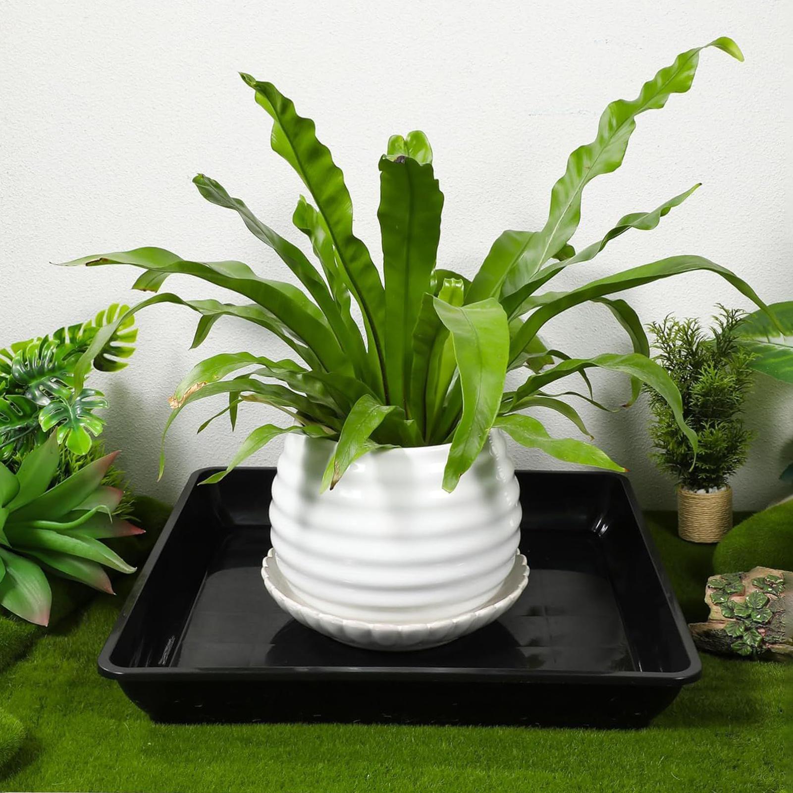 ถาดรองกระถางต้นไม้ 2 ชิ้น/ชุด  - Drip Tray Saucer บทวิจารณ์และราคา
